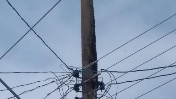 Abelhas estavam no poste de energia elétrica, na rua, quando houve o ataque (Divulgação/Corpo de Bombeiros).