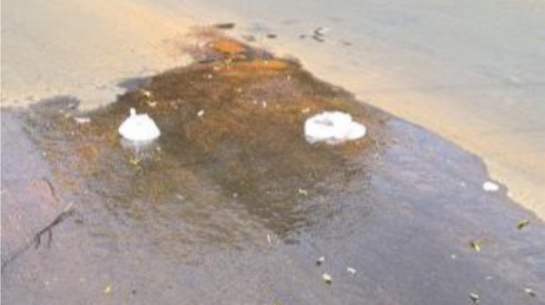 Vazamento de água na Rua Germano Meira de Vasconcelos, no Jardim Bela Vista, conforme registro no início da tarde desta segunda-feira, 23 (Cedida).