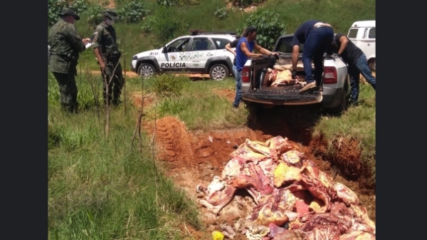 Cerca de 600 quilos de carne foram apreendidos no abatedouro clandestino e descartados em aterro sanitário (Divulgação/PM Ambiental).