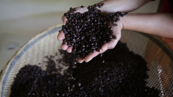 Classificação atendeu uma demanda apresentada pelo setor e com o padrão oficial definido, o órgão fiscalizador poderá verificar e controlar a qualidade (Divulgação/SFA-SP).