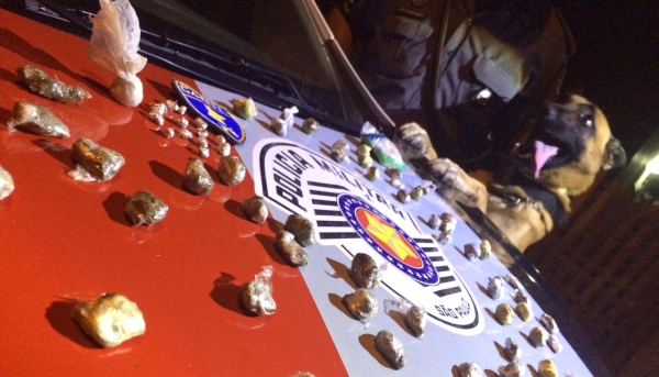 Canil da PM foi mobilizado na operação, com a prisão de duas pessoas e localização de maconha, cocaína e crack (Foto: Cedida/PM).