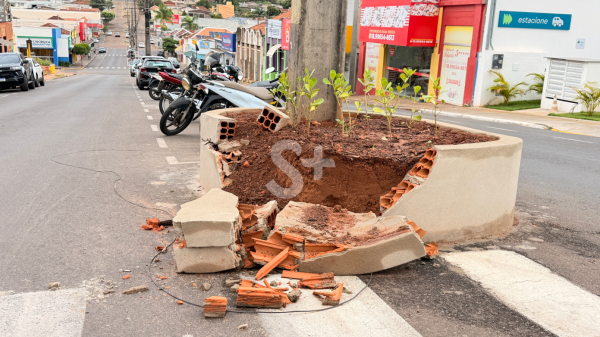 Canteiro localizado na Av. Cap. Jose A. de Oliveira, no centro de Adamantina (Cedida/PMA).
