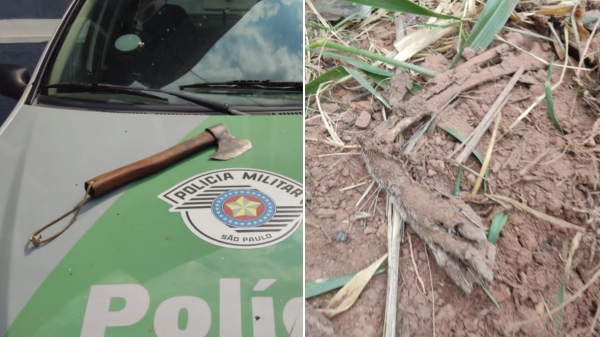 A machadinha usada na morte do animal e apreendida pela Polícia Ambiental, e a pata do cachorro, no local onde foi enterrado (Divulgação/PM Ambiental).