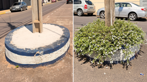 Com dificuldade para atuar com zeladoria, Prefeitura tem concretado os canteiros e busca parceria com moradores e empresas (Siga Mais).