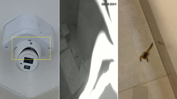 No detalhe, a passagem por onde o escorpiao passou, depois a imagem dele capturada pela camera, e o animal encontrado depois (Cedidas).