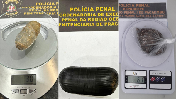 (Cedida/Policia Penal SP).