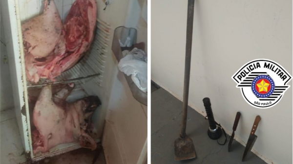 Carne do animal foi localizada na geladeira do autor do crime, como também, no imóvel, os instrumentos usados no abate (Divulgação/PM).