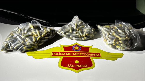 As 291 capsulas expelidas pelo trio pesaram quase 3,5 quilos (Cedida/PM Rodoviaria).