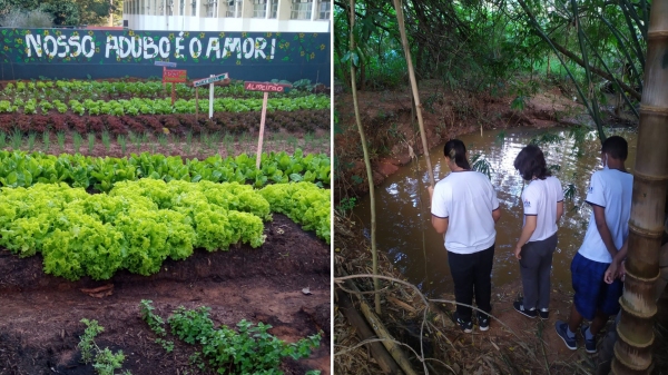 Projeto transforma área da escola em horta e mapeia microbacia hidrográfica de Adamantina (Imagens: Cedidas).