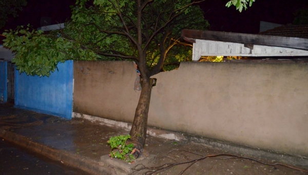 Caso isolado de queda de árvore fez danos em muro de residência, na rua Duque de Caxias, centro de Adamantina (Foto: Maikon Moraes).