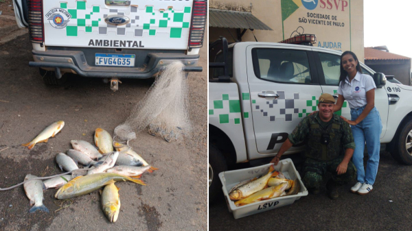 Pescados e petrechos apreendidos. Peixes foram doados ao Lar dos Idosos de Osvaldo Cruz (Cedida/PM Ambiental).