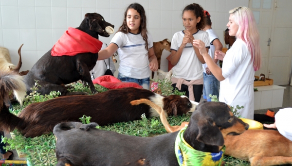 Clínica Veterinária da UniFAI recebeu 200 alunos das escolas estaduais Helen Keller e Prof. Durvalino Grion (Foto: UniFAI).