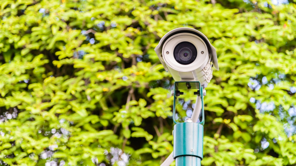 (Imagem ilustrativa: Freepik).