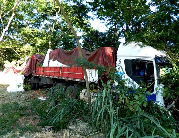 Condutor perde controle e carreta colide em árvores na SP-294 (Foto: Folha Regional/Pacaembu)