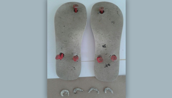 Porções de maconha estavam ocultados junto à sola do chinelo. Tentativa foi na Penitenciária de Presidente Bernardes (Fotos: SAP).