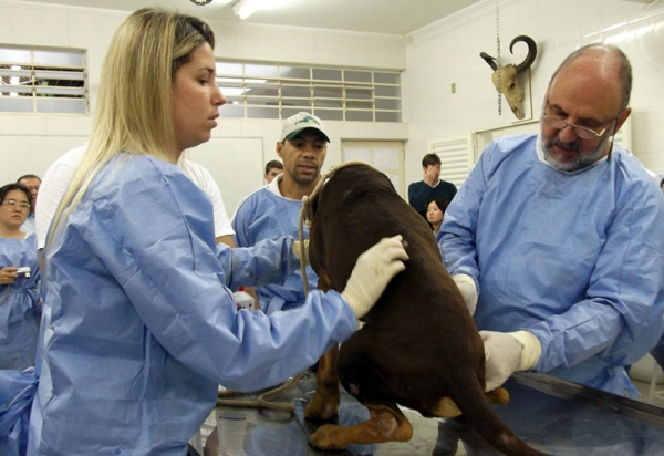 ClÃnica Veterinária da UniFAI volta a atender o público também no dia 15 de fevereiro (Foto: Unifai).
