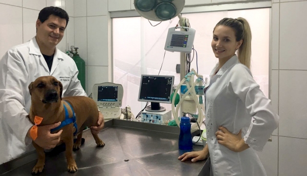 Médicos veterinários Rafael Judai e Bruna Judai, da Clinicão Clínica Veterinária (Foto: Divulgação).