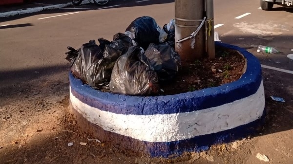 Canteiro central na Av. Dr. Adhemar de Barros: espaço em revitalização recebe lixo para coleta (Da Assessoria/PMA).