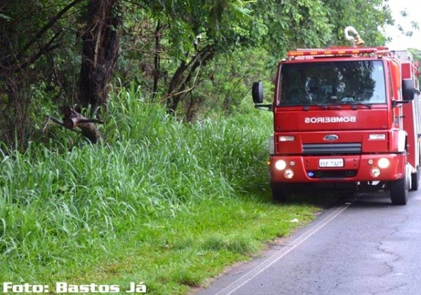 Corpo de Bombeiros de Tupã esteve no local, prestando atendimento (Foto: Bastos Já).