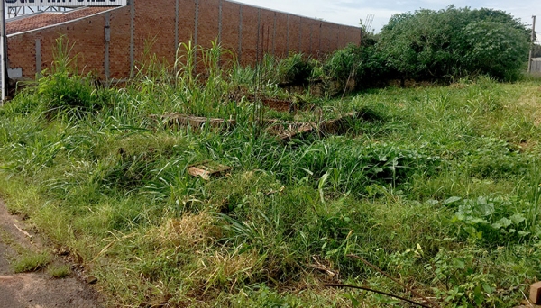 Um dos terrenos, concedidos a empresa em 2013, teve apenas movimentação parcial nos alicerces iniciais (Foto: Siga Mais).