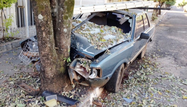 Carro subiu a guia e bateu na árvore (Fotos: Maciel Dantas/Jornal O Povo).