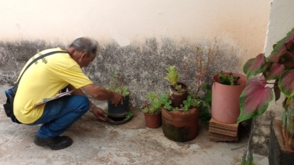 Locais que acumulem ?gua s?o criadouros do mosquito Aedes aegypti, transmissor da dengue, chikungunya e febre amarela (Divulga??o/PMA).