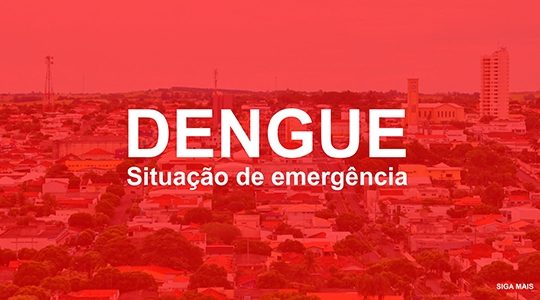 Prefeitura de Adamantina decretou situação de emergência motivada pelos casos de dengue na cidade. São 774 casos confirmados (Ilustração).