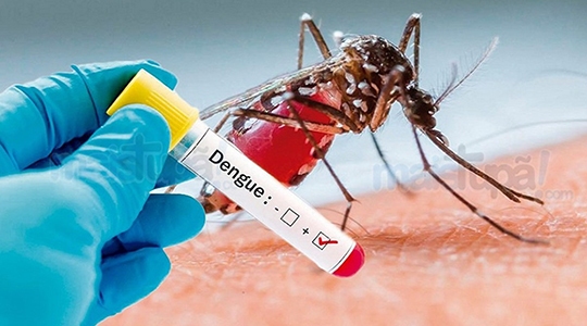 Casos de dengue não para de crescer em Tupã. São 815 casos em 2019 e outros 780 exames podem trazer novas confirmações (Reprodução/Mais Tupã).