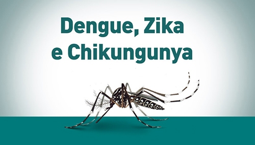 Vigilância Epidemiológica atualiza os casos de Dengue, Chikungunya e Zika Vírus