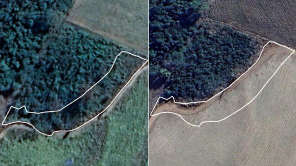 Faixa desmatada, antes e depois (Cedida/PM Ambiental).