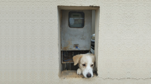 (Imagem: Energia Sul-Sudeste).