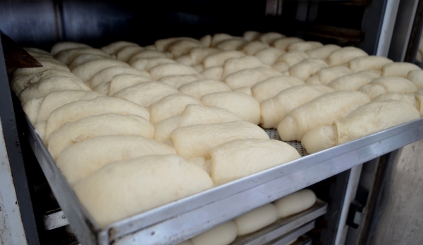 Produção de pães na estufa, aguardado ser assada, foi perdida por falta de energia elétrica (Foto: Acácio Rocha).