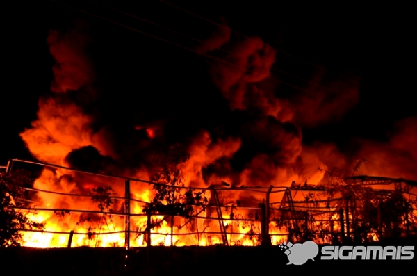 Foto: Acácio Rocha.
