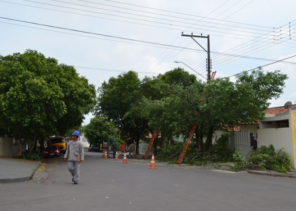 Podas de árvores são realizadas para evitar interrupções no fornecimento de energia. Segundo empresa, em áreas críticas a fiação também recebe isolamento (Foto: Acácio Rocha).
