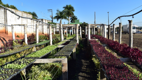 Viveiro foi inaugurado na programacao oficial do aniversario da cidade (Cedida/PMA).