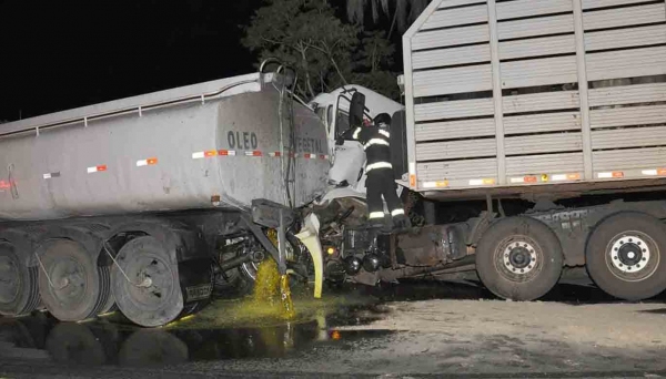 Motorista ficou preso às ferragens e trânsito permaneceu interrompido no local. Óleo vegetal vazou do caminhão tanque, sobre a pista (Foto: Valdemir Anselmo/OC News).