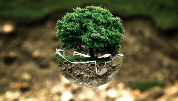 Questões que impactam no meio ambiente serão debatidas no ciclo de estudos de Engenharia Ambiental e Agronomia (Imagem: Pixabay).