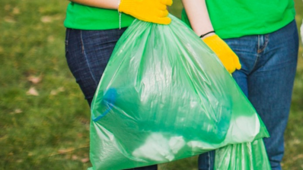 Sacos verdes, para coleta de recicláveis, começaram a ser distribuÃdos pela Prefeitura (Imagem ilustrativa/Freepik).