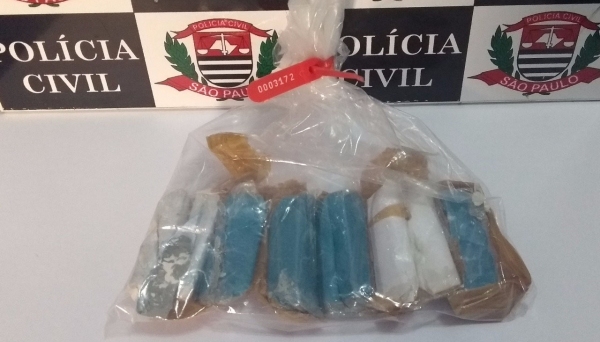 Mulher levava oito tabletes de massa epóxi escondidos em órgão genital (Foto: Cedida/Deinter 8).