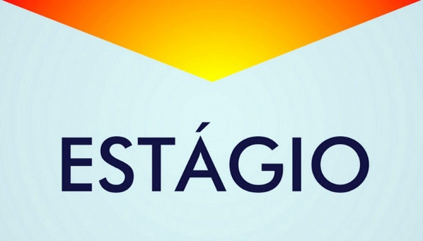 Estagiários terão bolsa reajustada para R$ 550