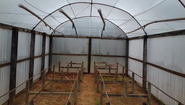 Câmara úmida vai permitir a germinação de determinadas sementes que só ocorrem sob condições especiais (Foto: Da Assessoria).