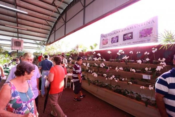 Foto: Divulgação/ExpoVerde