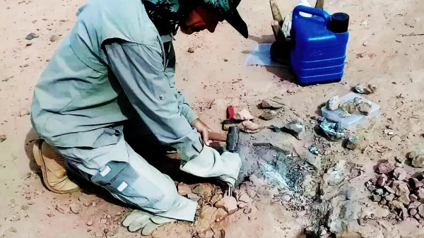 Paleontólogo faz a remoção dos fósseis encontrados em Flórida Paulista (Reprodução/Folha Regional).