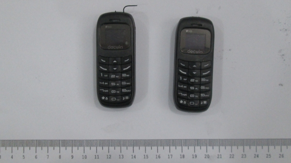 Os dois micro aparelhos celulares eram levados pela visitante introduzidos em sua genitália (Foto: SAP/Croeste).