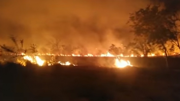 Incêndio em vegetação na noite desta terça-feira (3) no San Miguel II, próximo às casas (Reprodução).