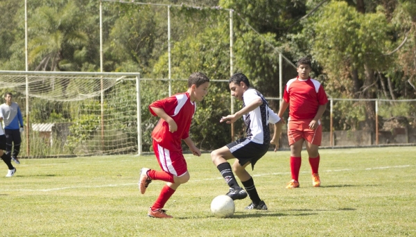 Programa Universidade do Futebol já é realizado em Dracena e Pacaembu, e agora chega a Adamantina (Foto: Pixabay).