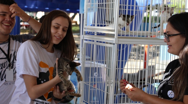 Durante a 1ª Feira de Adoção de Animais foram adotados quatro cachorros adultos, cinco filhotes e três gatos (Da Assessoria).