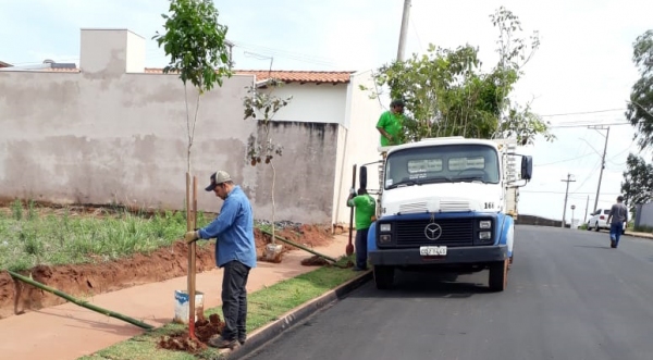 A continuação da Alameda Padre Nobrega também recebeu um Piloto de Floresta Urbana (Da Assessoria).