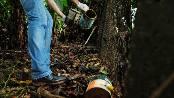 Imagem ilustrativa (Agencia Brasilia)