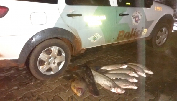 Piracema: Polícia Ambiental flagra transporte irregular de pescados em Lucélia
